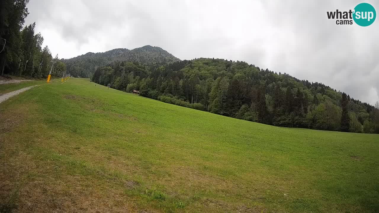 Comprensorio sciistico Kranjska Gora | Brsnina
