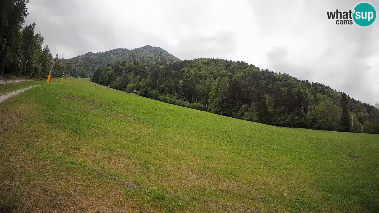 Kranjska Gora SKIJANJE | Brsnina