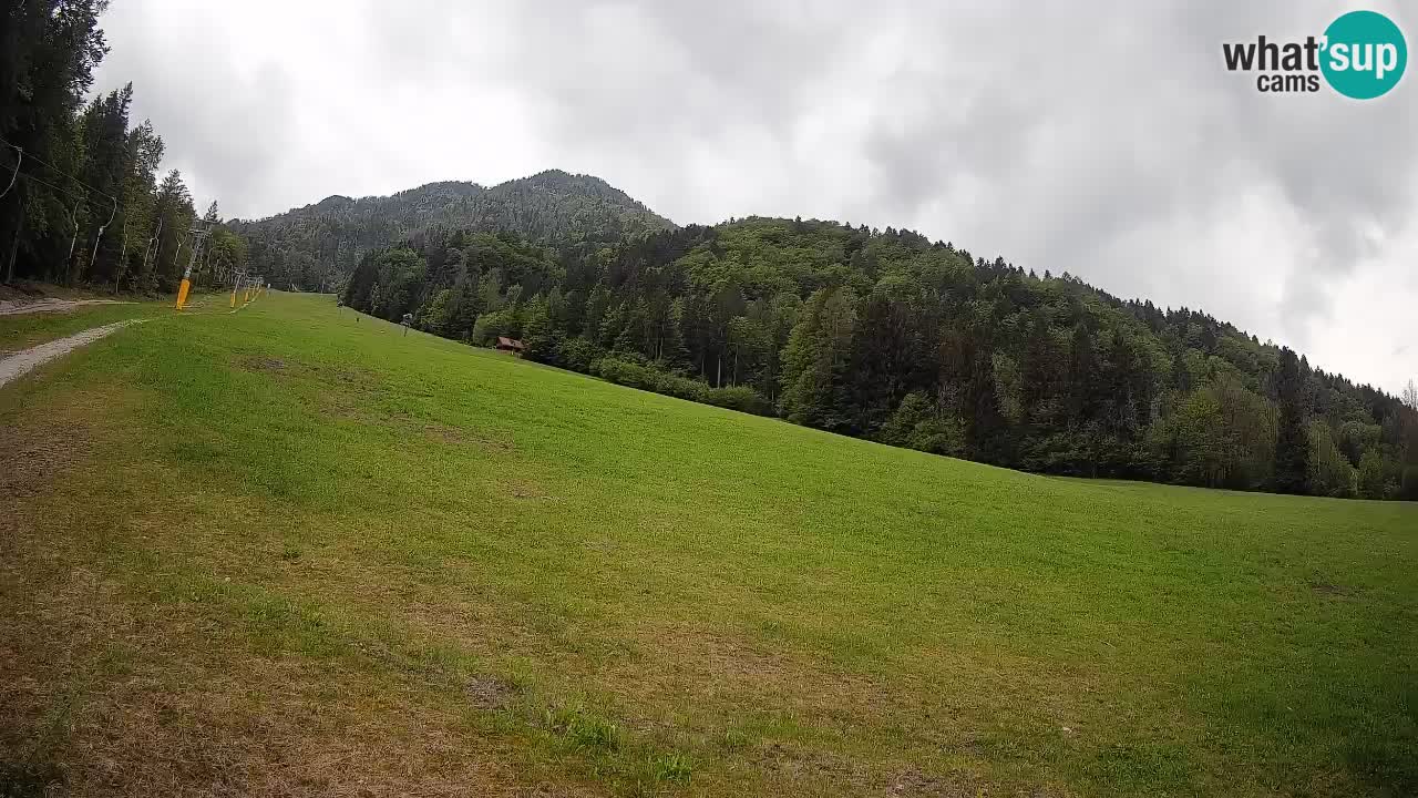 Kranjska Gora SKIJANJE | Brsnina