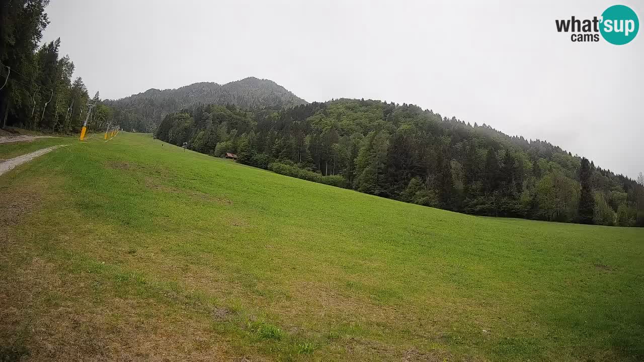 RTC Skigebiet Kranjska Gora | Brsnina