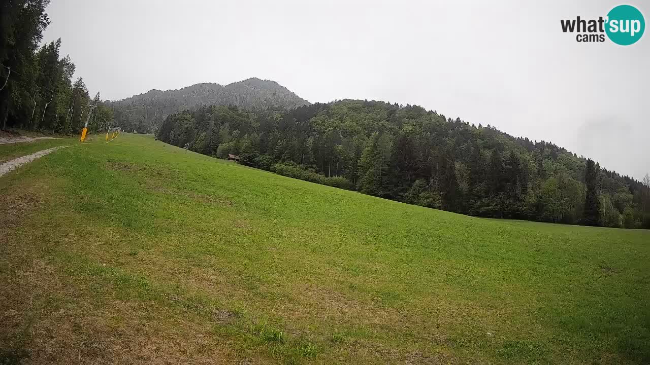 RTC Skigebiet Kranjska Gora | Brsnina