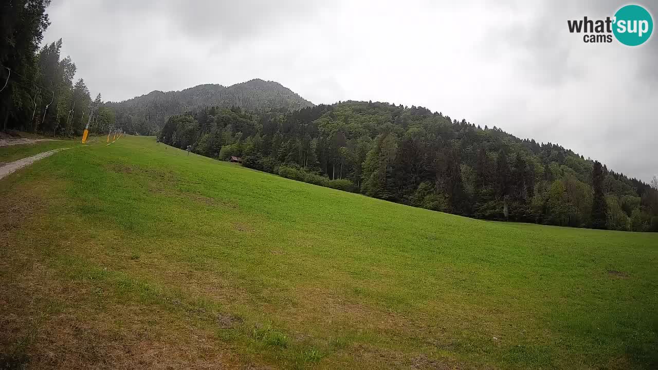 Kranjska Gora SKIJANJE | Brsnina