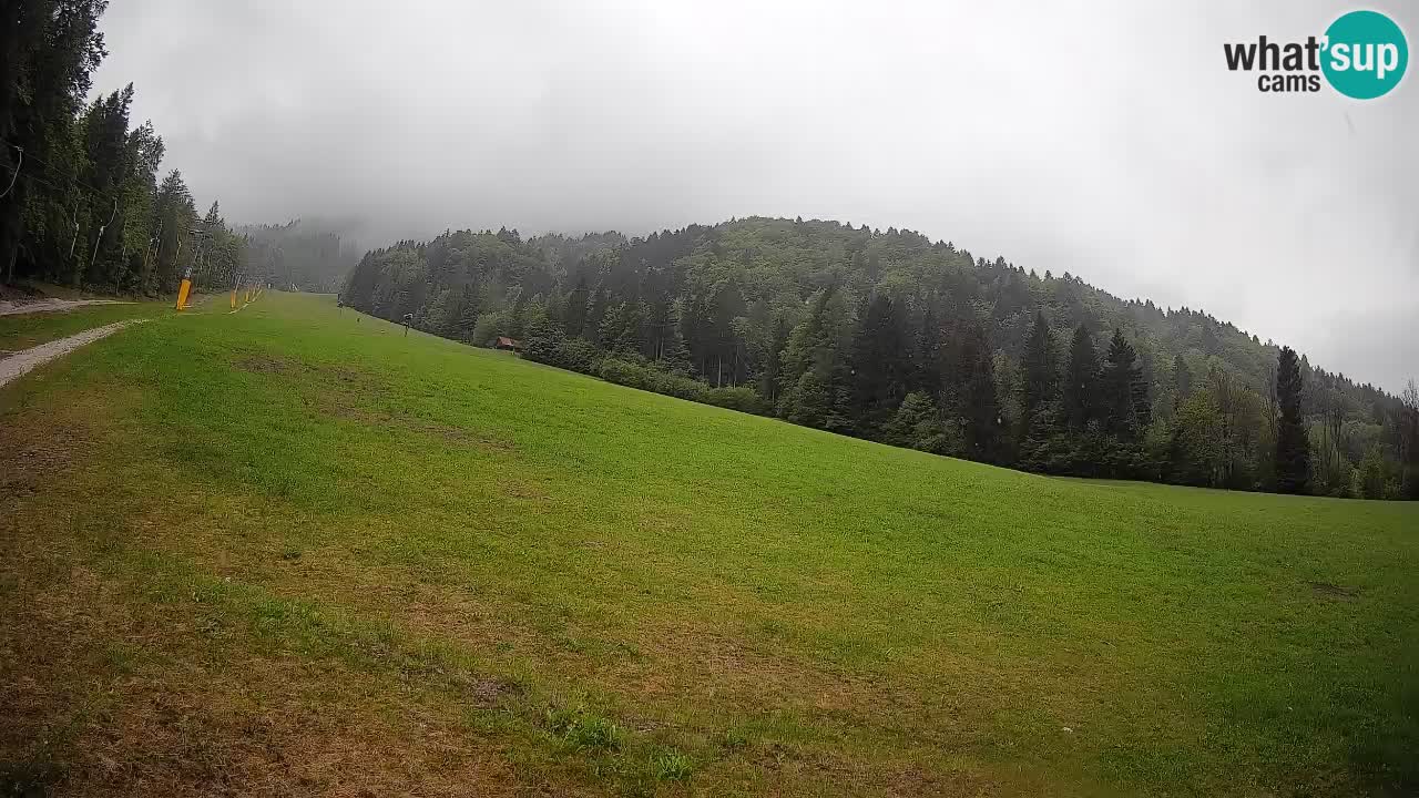 RTC Skigebiet Kranjska Gora | Brsnina
