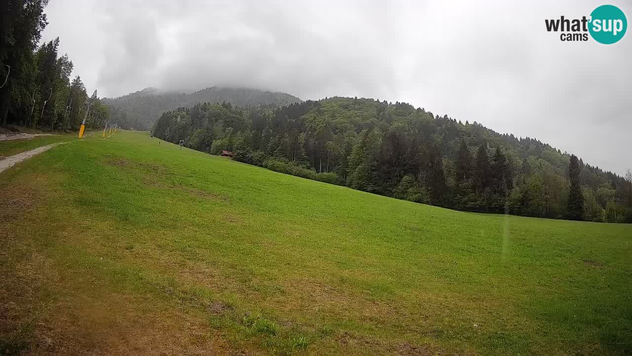 RTC Skigebiet Kranjska Gora | Brsnina