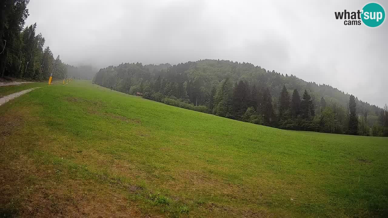 Esquí Kranjska Gora | Brsnina