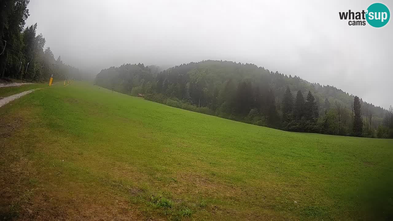 RTC Skigebiet Kranjska Gora | Brsnina