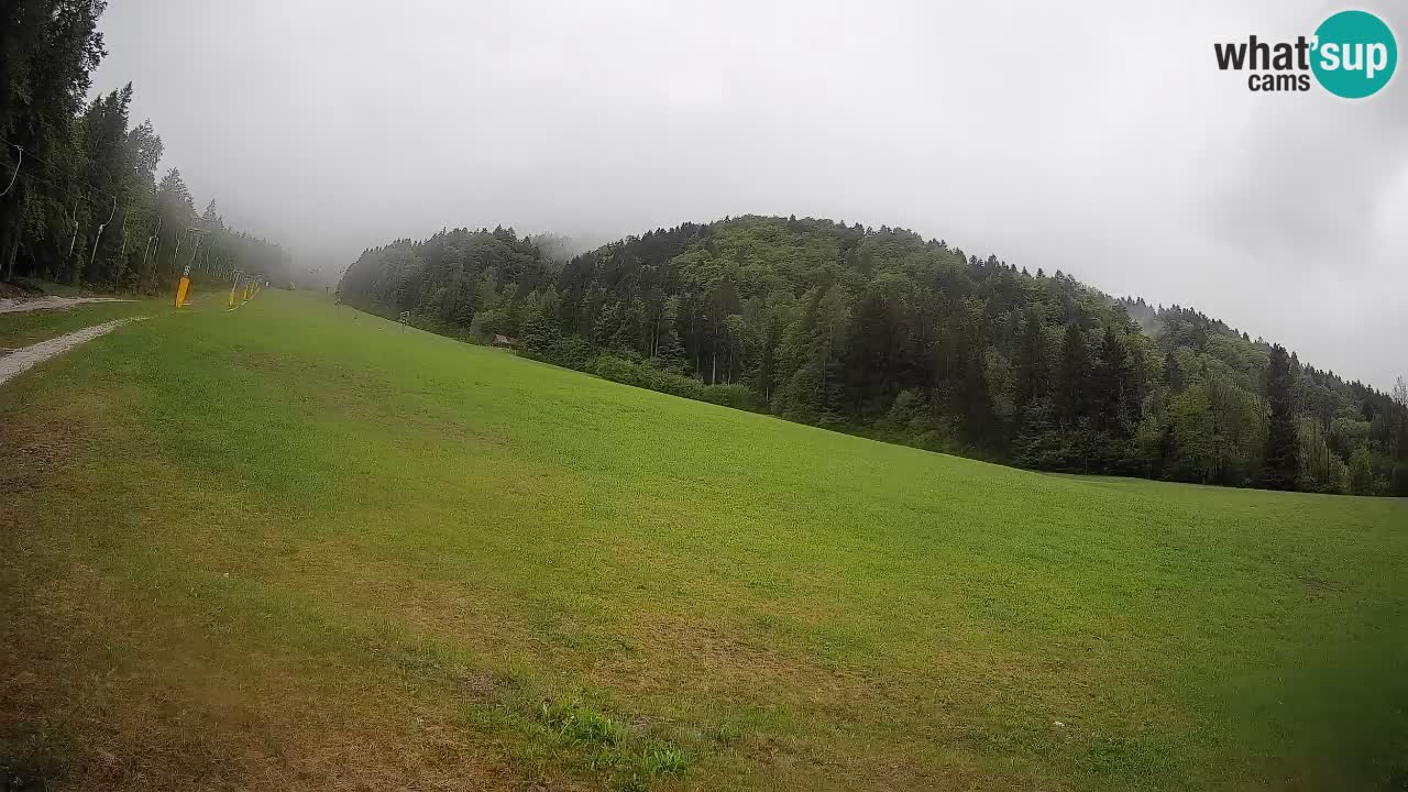 Comprensorio sciistico Kranjska Gora | Brsnina