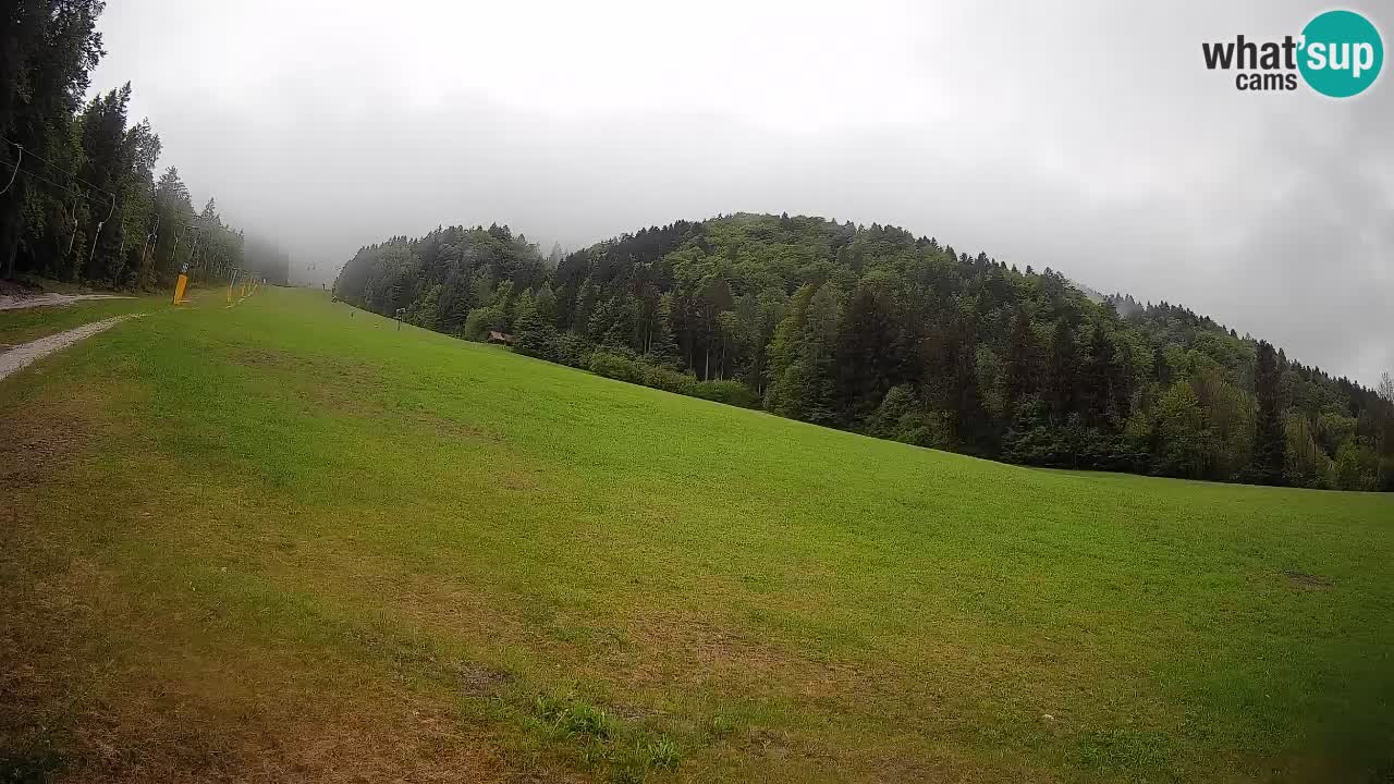 Kranjska Gora SKIJANJE | Brsnina