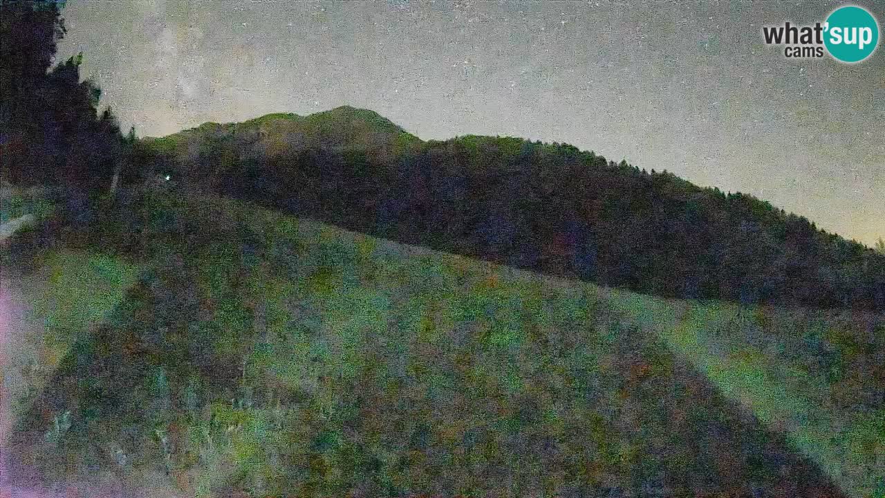 RTC Kranjska Gora | Brsnina