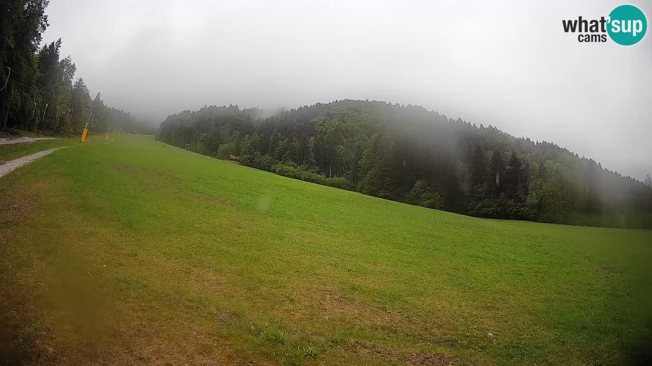 Comprensorio sciistico Kranjska Gora | Brsnina