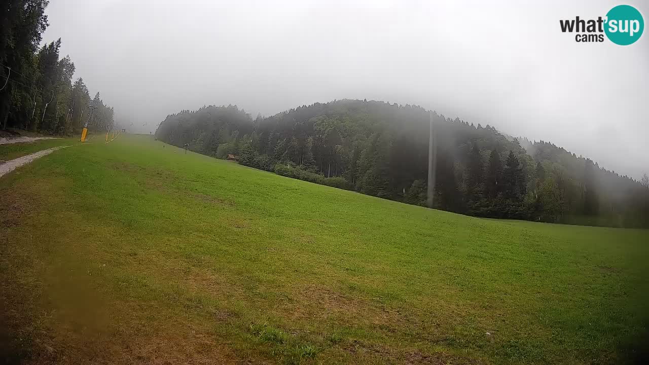 RTC Kranjska Gora | Brsnina