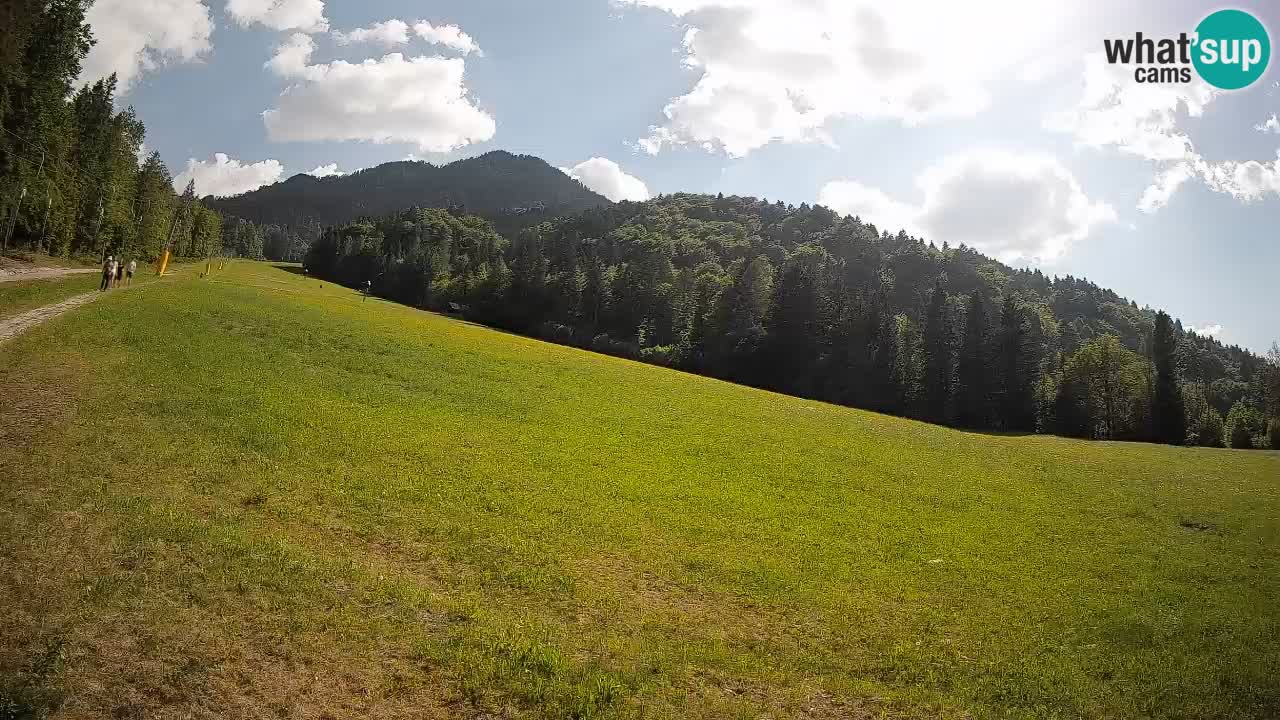 RTC Kranjska Gora | Brsnina