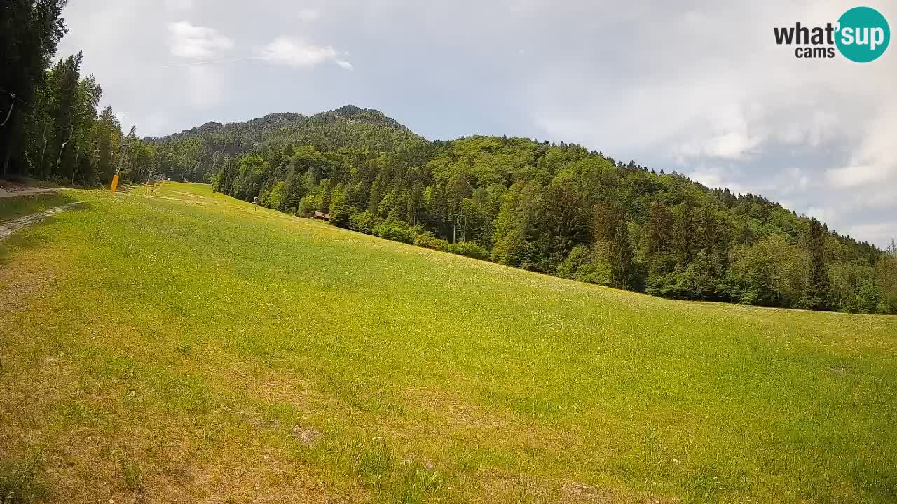 Ski Kranjska Gora | Brsnina