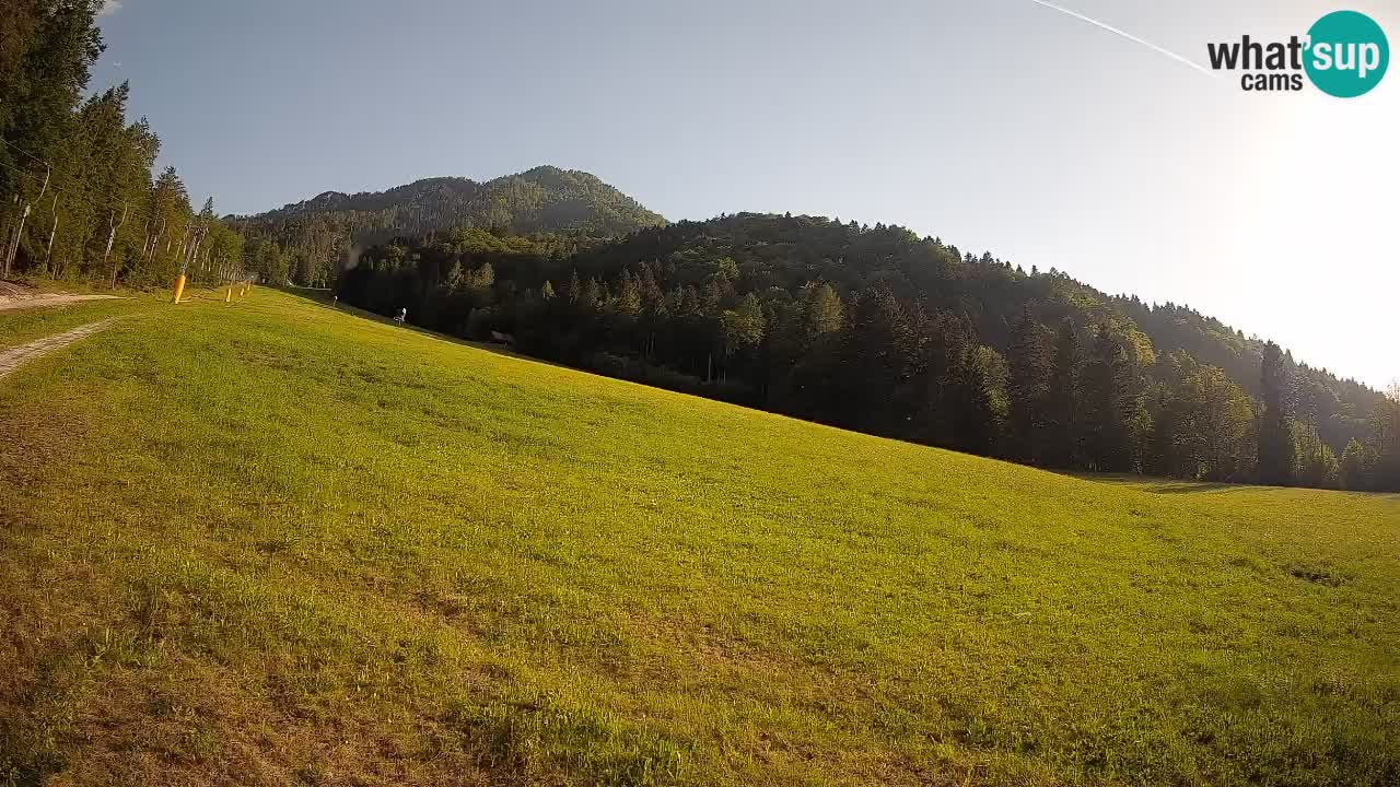 Kranjska Gora Station de ski | Brsnina