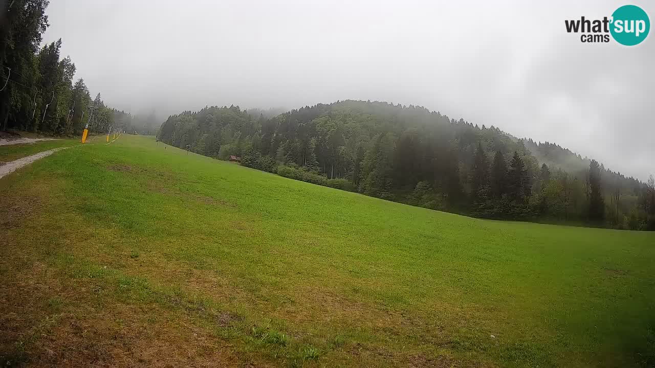 RTC Kranjska Gora | Brsnina