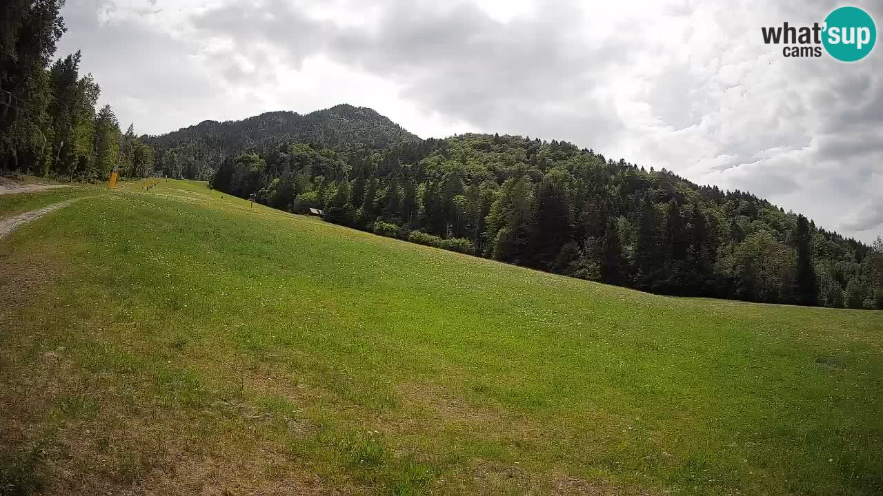 Kranjska Gora SKIJANJE | Brsnina
