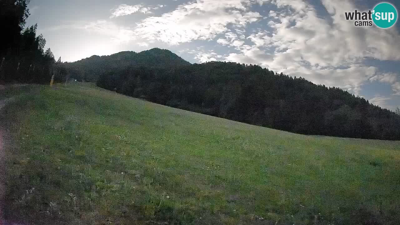 Esquí Kranjska Gora | Brsnina