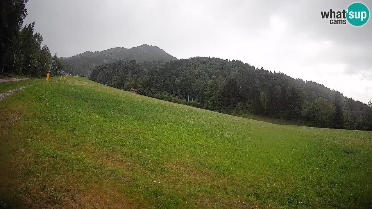 RTC Kranjska Gora | Brsnina