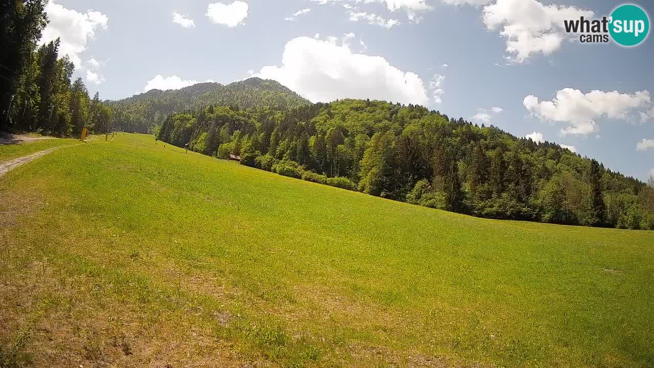 RTC Kranjska Gora | Brsnina