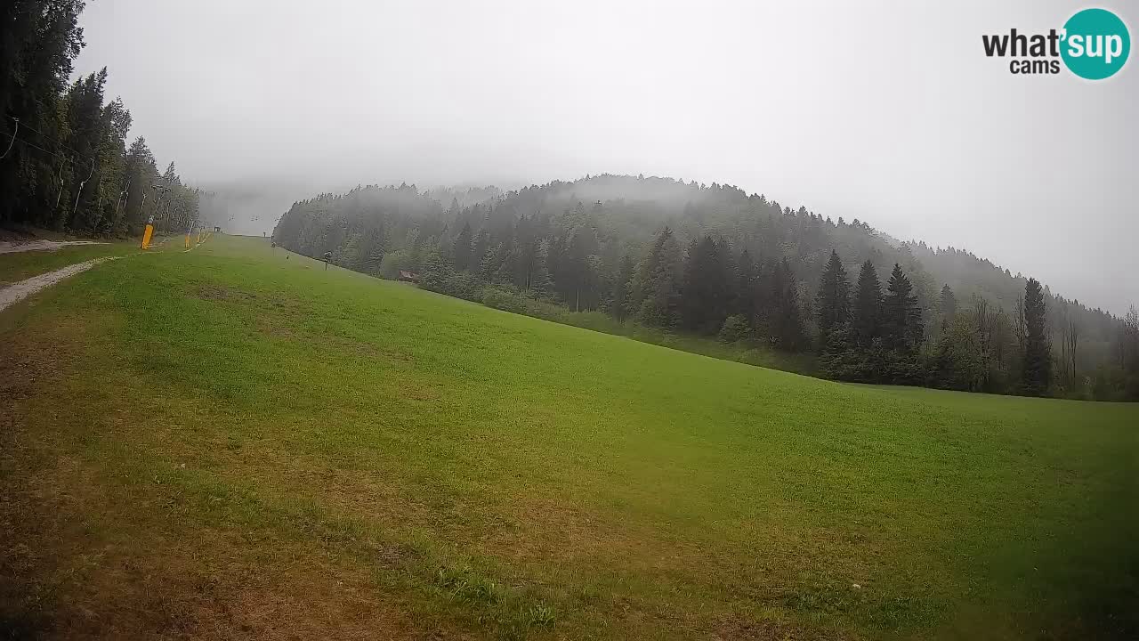 Comprensorio sciistico Kranjska Gora | Brsnina