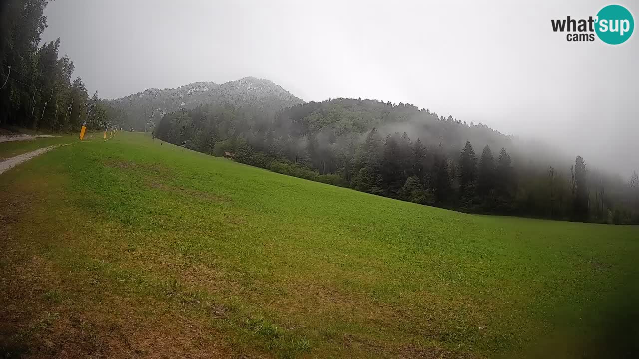 RTC Skigebiet Kranjska Gora | Brsnina