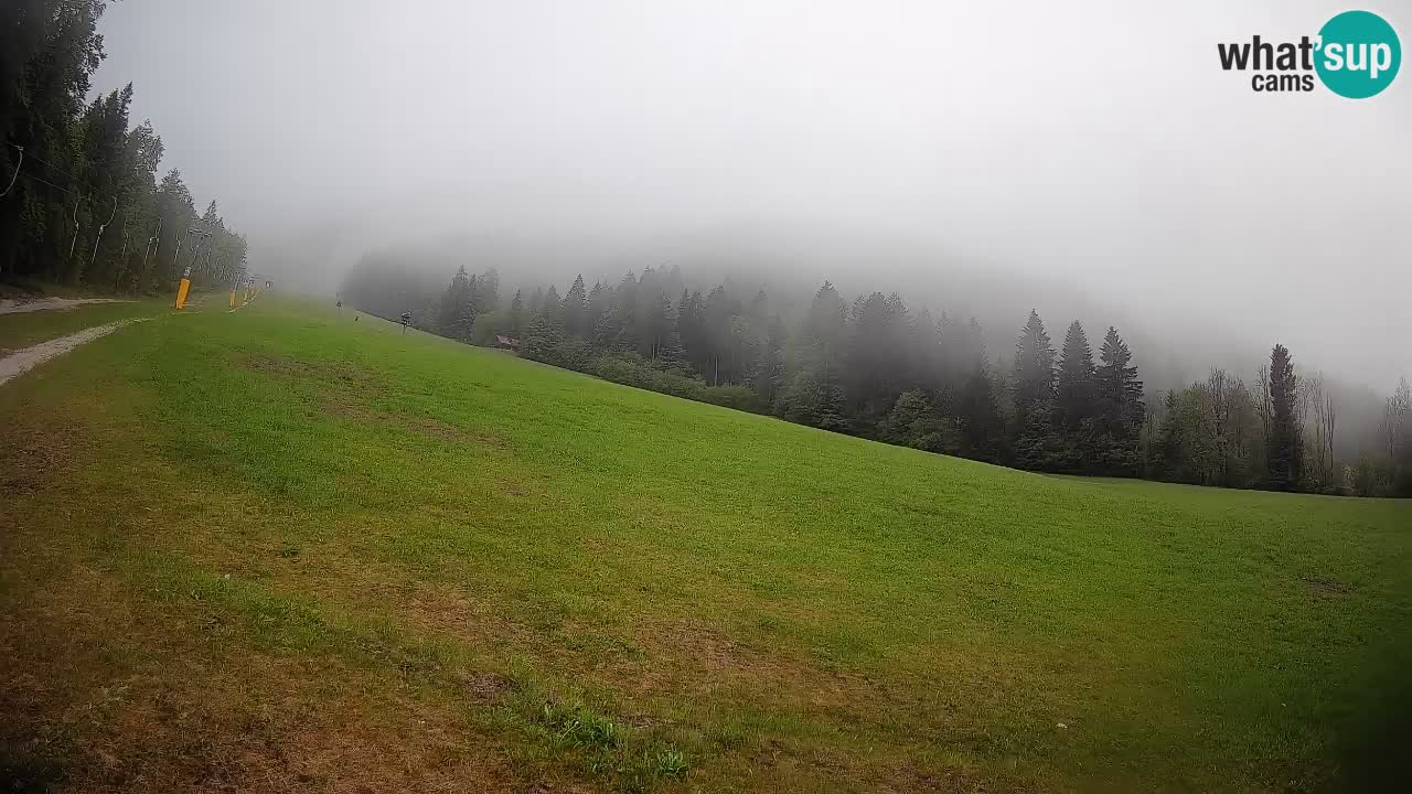 RTC Kranjska Gora | Brsnina