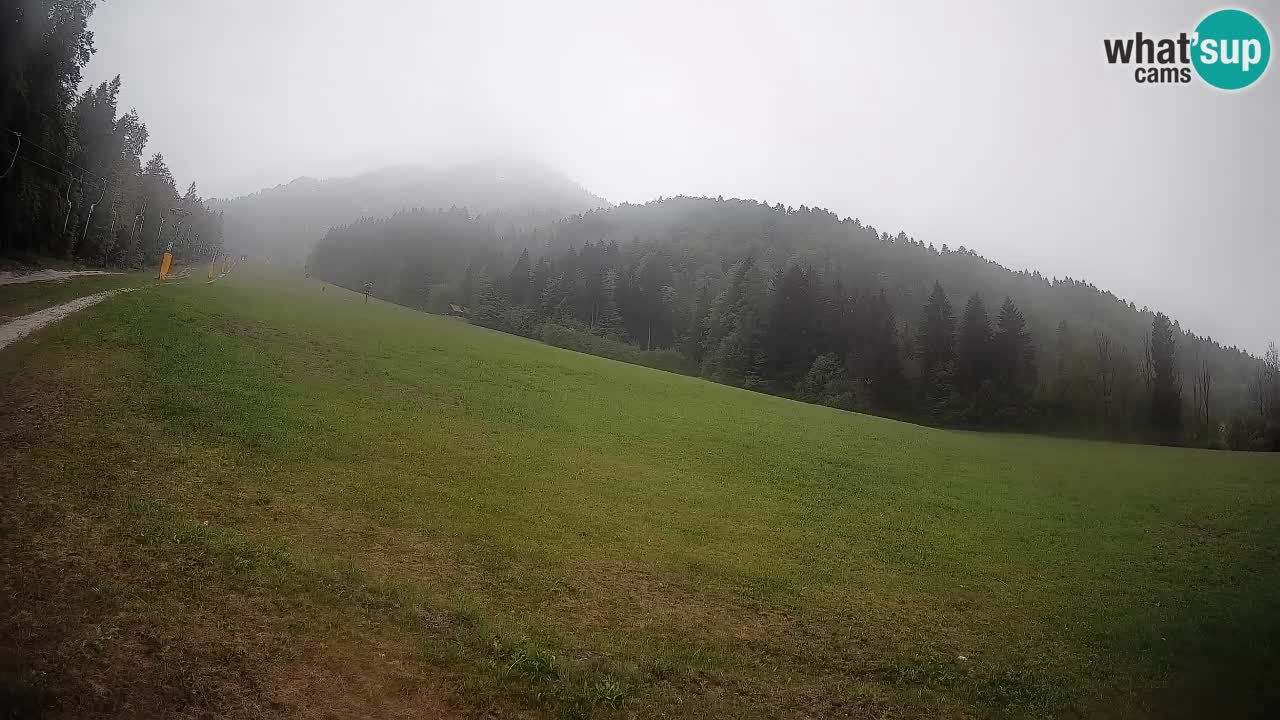 Ski Kranjska Gora | Brsnina