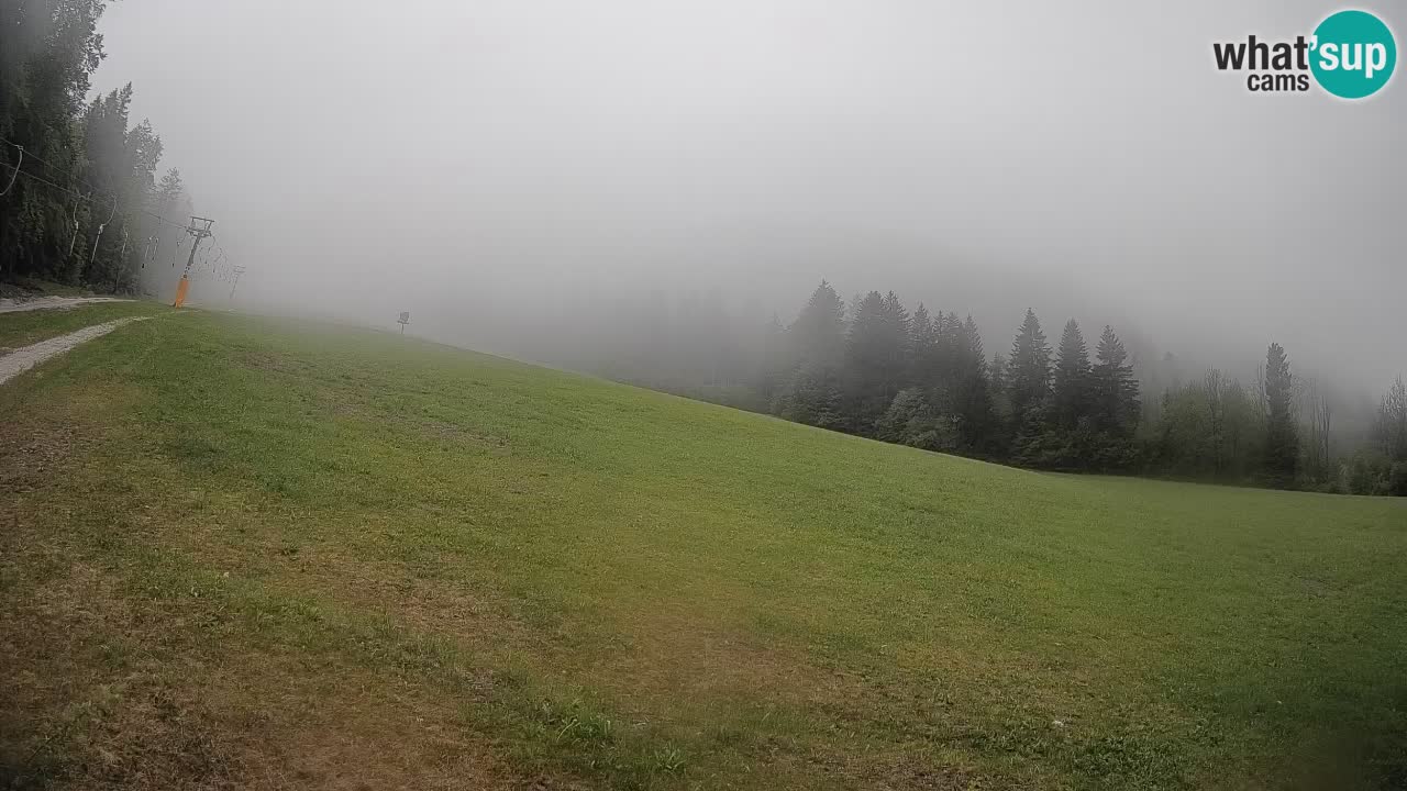 RTC Kranjska Gora | Brsnina