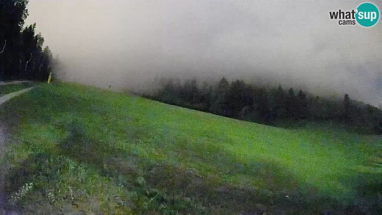 RTC Kranjska Gora | Brsnina