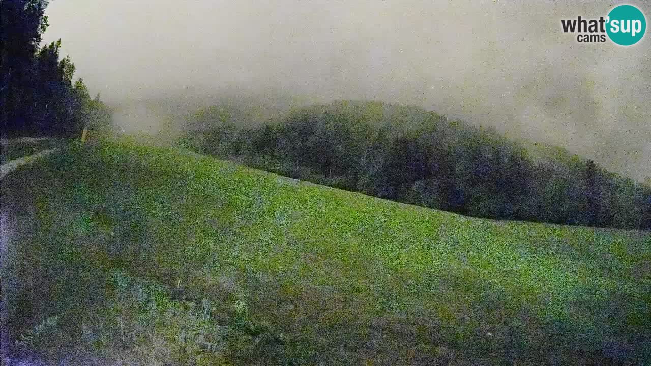 RTC Skigebiet Kranjska Gora | Brsnina