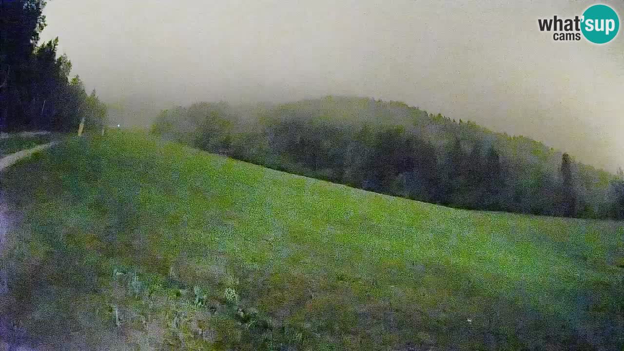 Ski Kranjska Gora | Brsnina