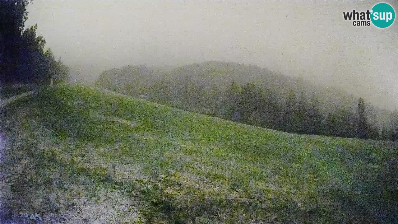 Esquí Kranjska Gora | Brsnina