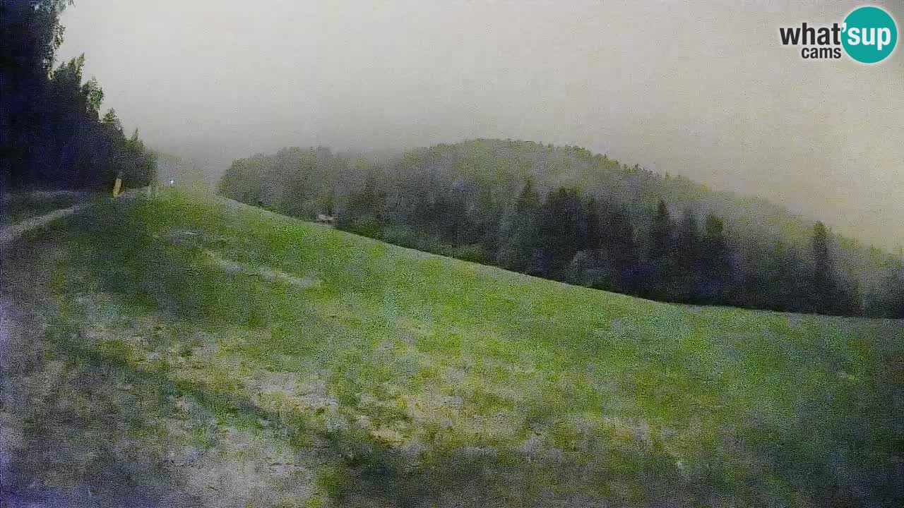 Comprensorio sciistico Kranjska Gora | Brsnina