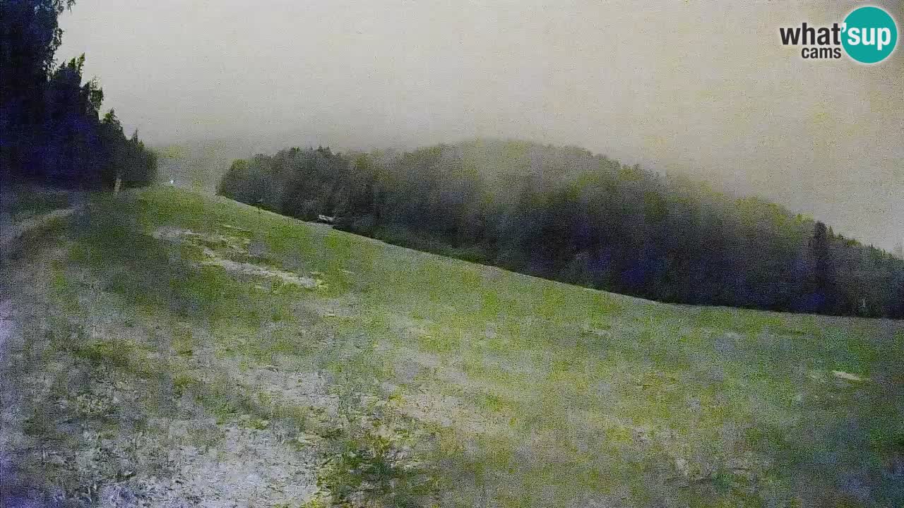 RTC Skigebiet Kranjska Gora | Brsnina