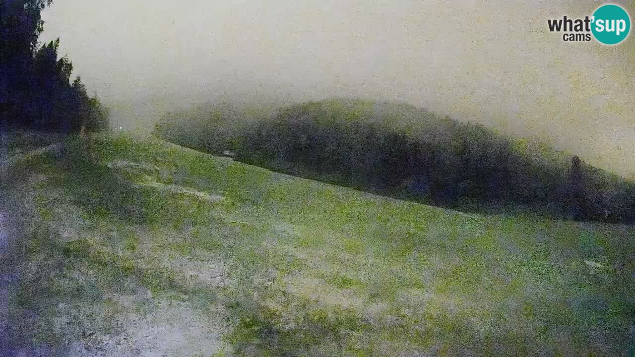 Kranjska Gora Station de ski | Brsnina