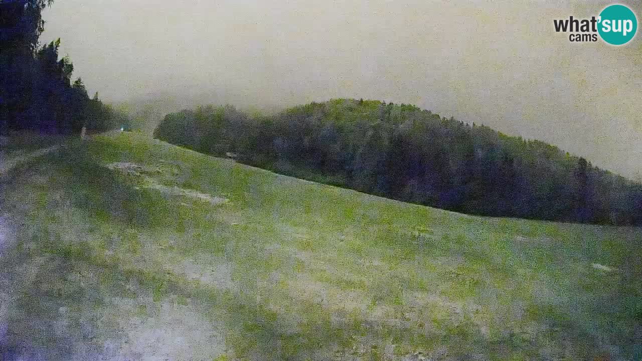 Ski Kranjska Gora | Brsnina