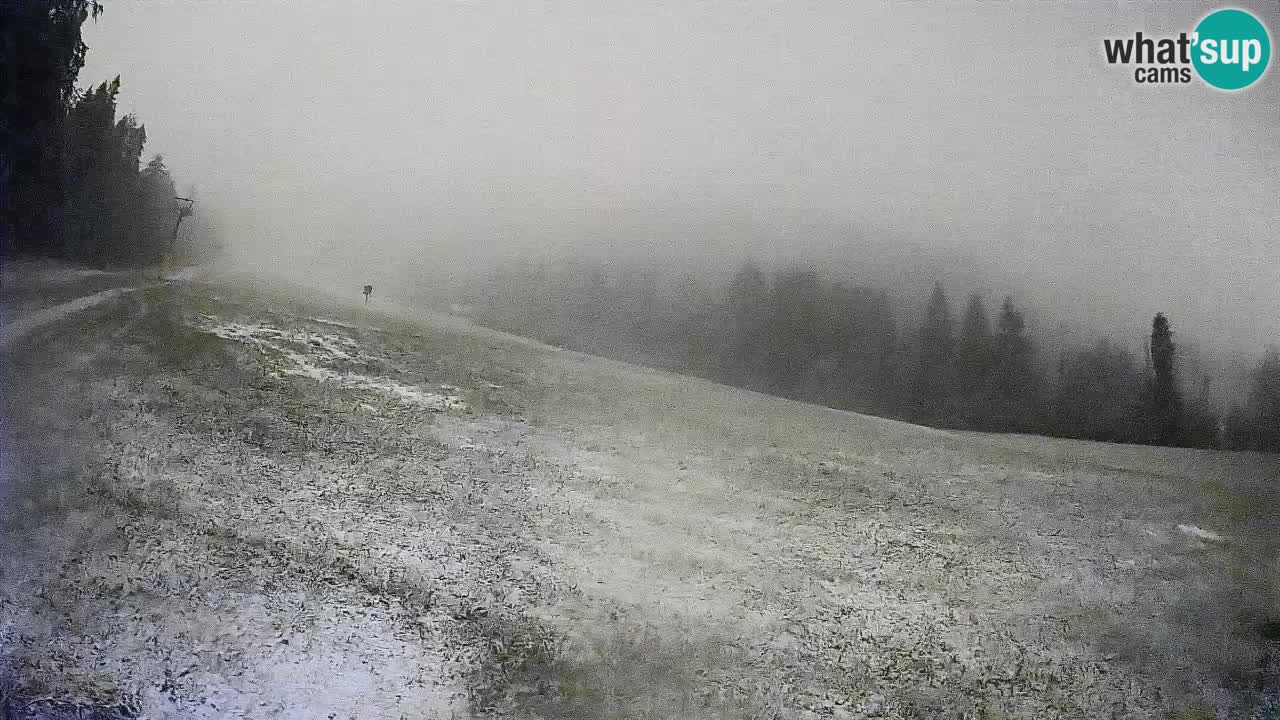 RTC Kranjska Gora | Brsnina