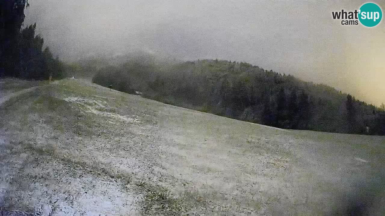 RTC Skigebiet Kranjska Gora | Brsnina