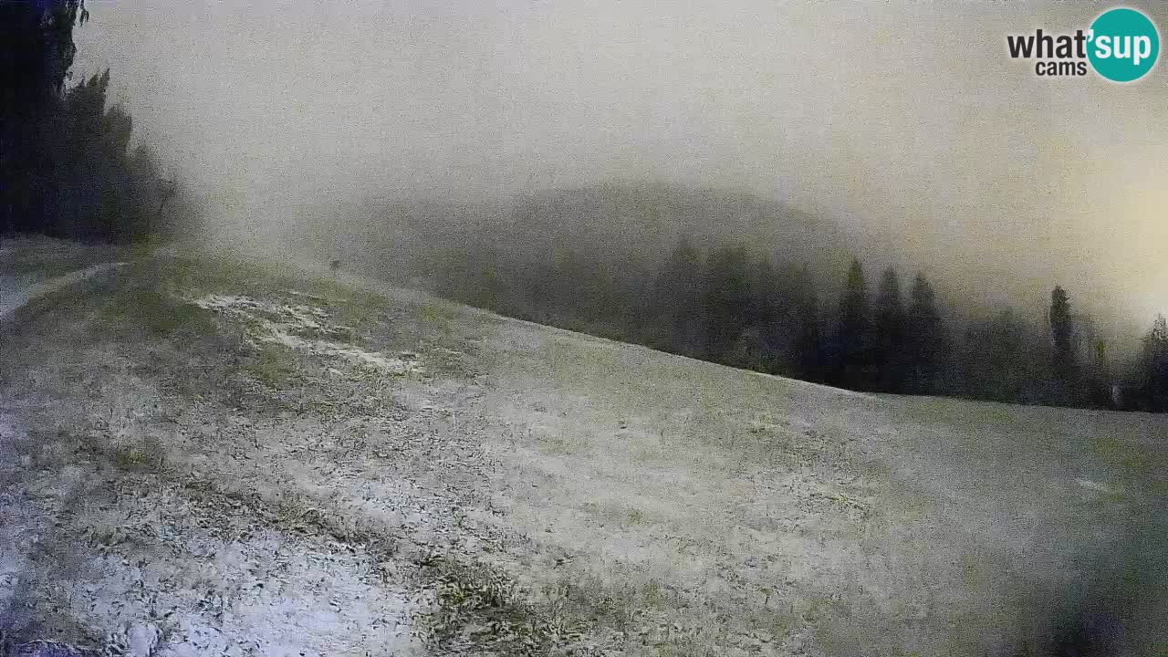Comprensorio sciistico Kranjska Gora | Brsnina