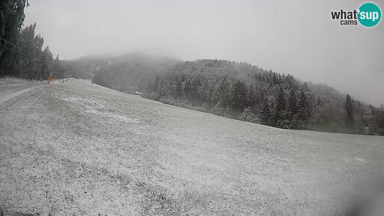 Esquí Kranjska Gora | Brsnina