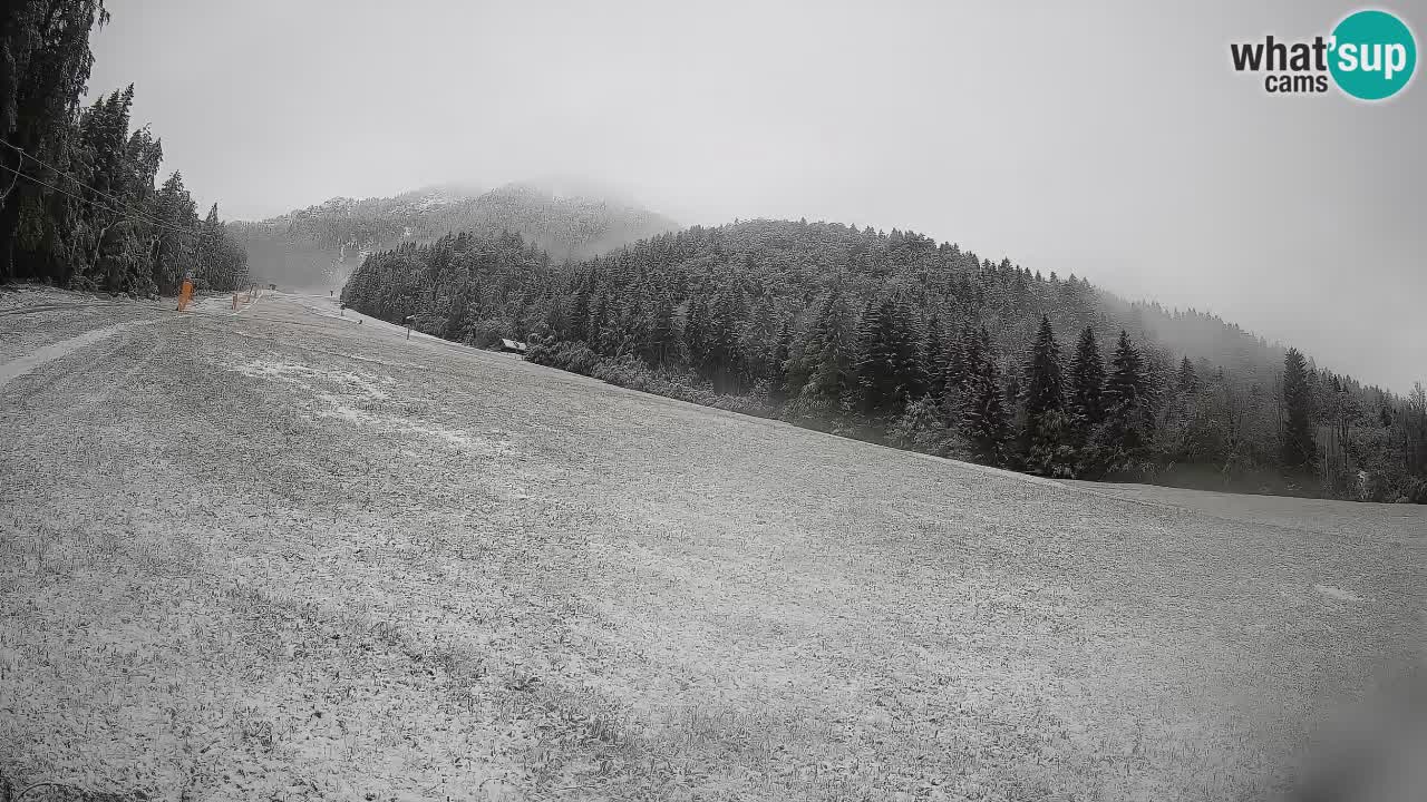 Esquí Kranjska Gora | Brsnina