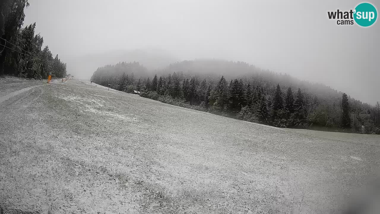 Kranjska Gora Station de ski | Brsnina