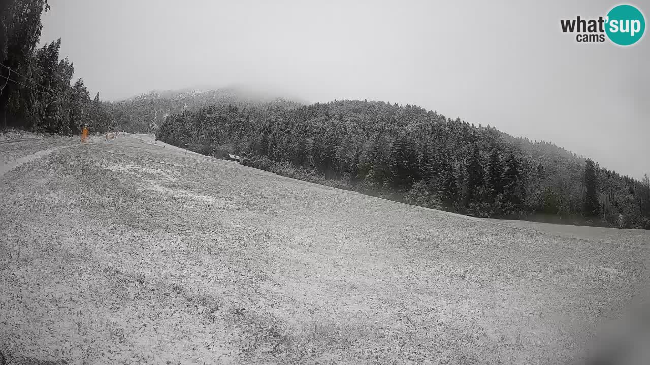 Ski Kranjska Gora | Brsnina