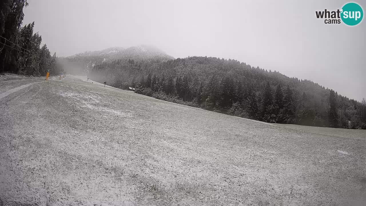 Kranjska Gora Station de ski | Brsnina