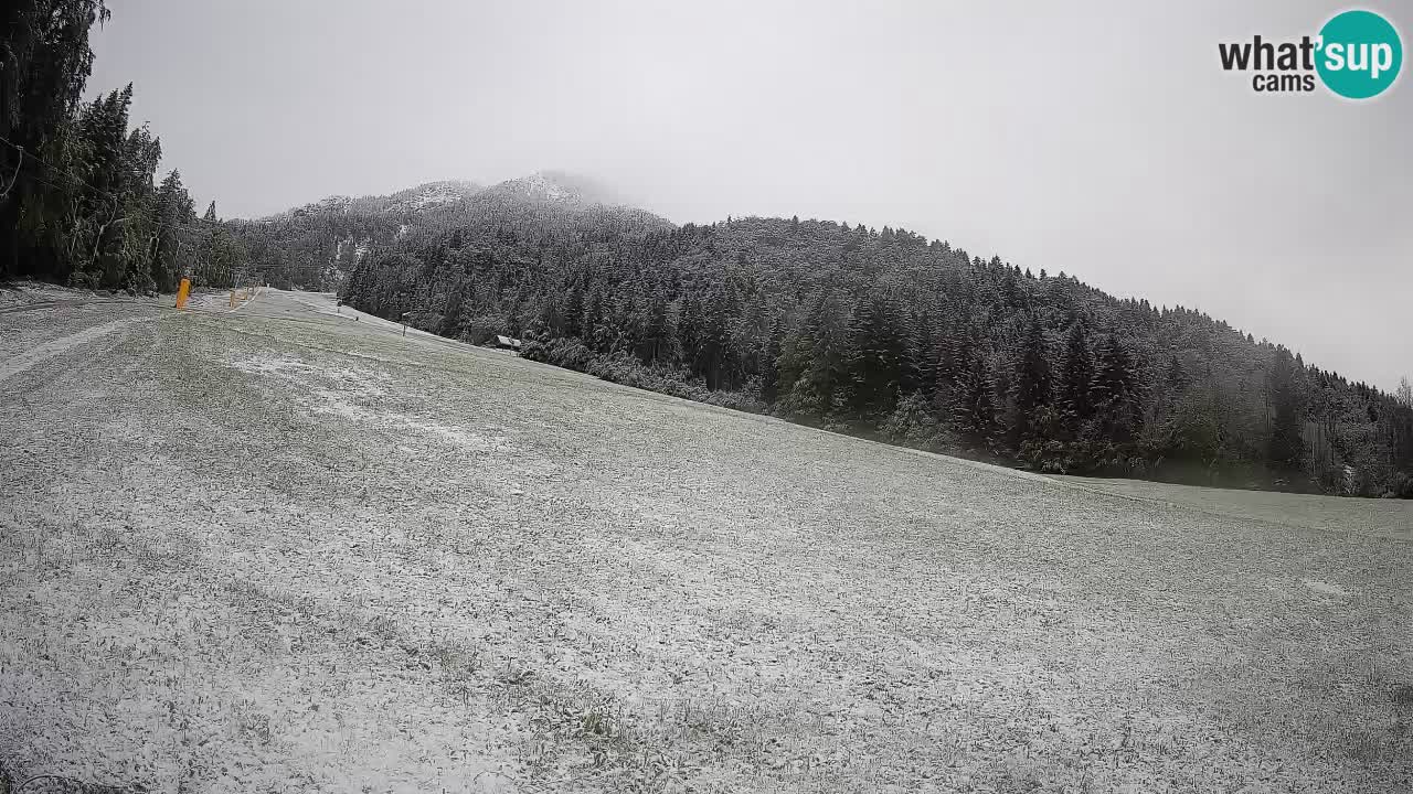 Kranjska Gora SKIJANJE | Brsnina