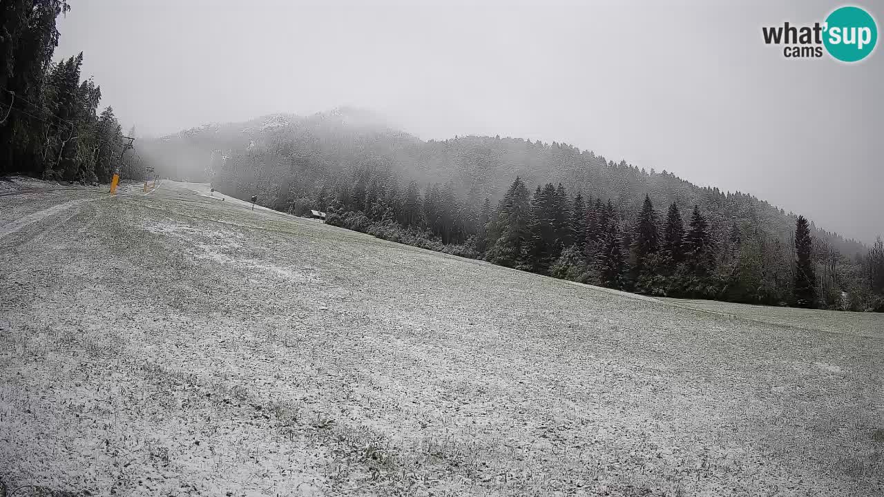 RTC Skigebiet Kranjska Gora | Brsnina