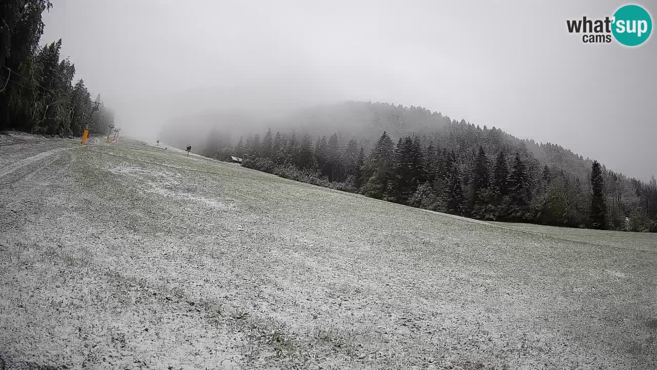 Ski Kranjska Gora | Brsnina
