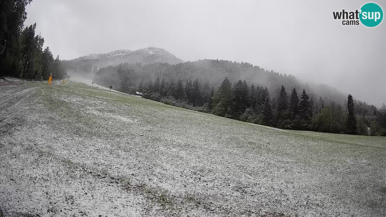 RTC Kranjska Gora | Brsnina