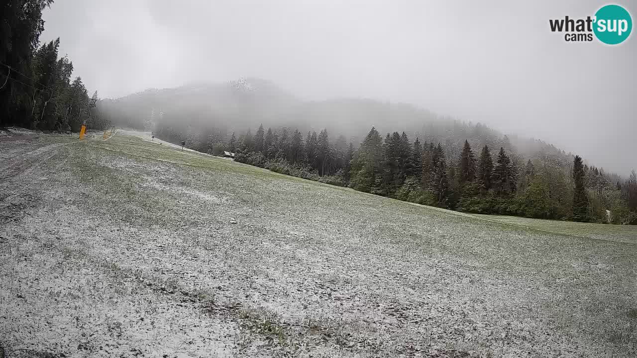 Kranjska Gora SKIJANJE | Brsnina