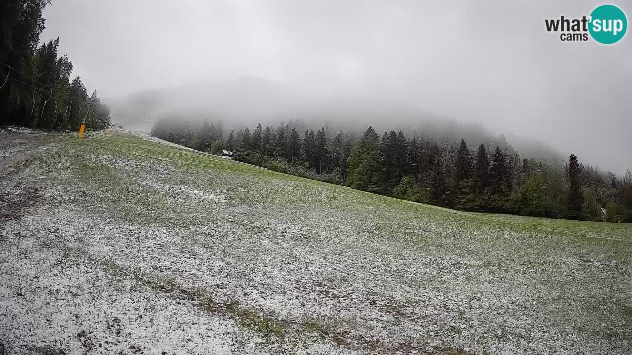 Kranjska Gora Station de ski | Brsnina